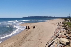 98282706_1532663306912702_8652536502003171328_o